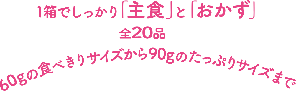 1箱でしっかり「主食」と「おかず」 全20品 食べきりサイズから90gのたっぷりサイズまで