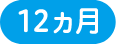 12ヵ月