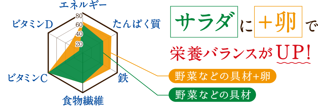 サラダに＋卵で栄養バランスがUP！