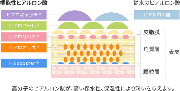 機能性ヒアルロン酸の特長