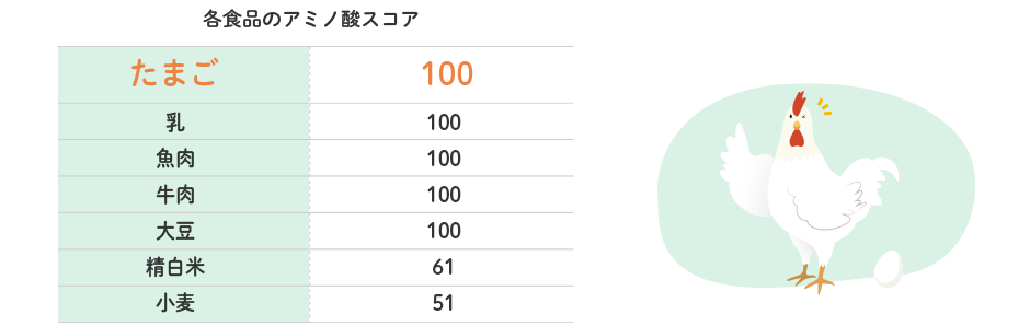 各食品のアミノ酸スコア