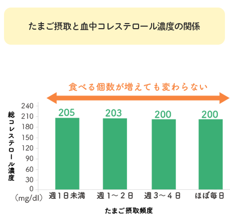 たまご摂取と血中コレステロール濃度の関係