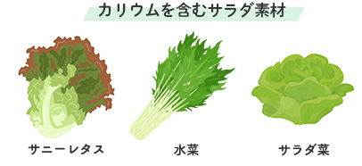 カリウムを含むサラダ野菜