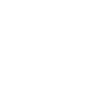 plant based food