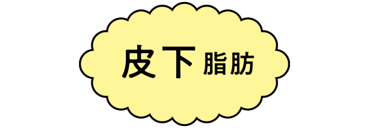 皮下脂肪