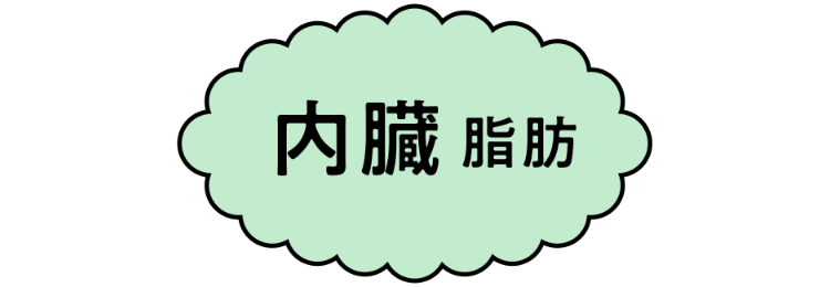 内臓脂肪