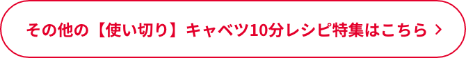 その他の【使い切り】キャベツ10分レシピ特集はこちら