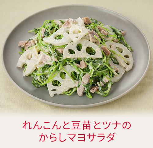 れんこんと豆苗とツナのからしマヨサラダ