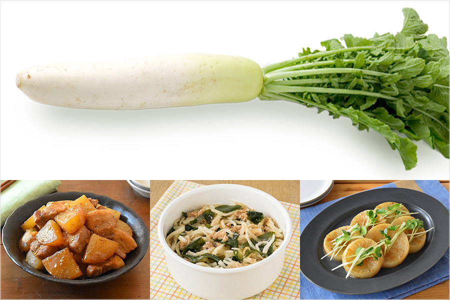 旬野菜「大根」