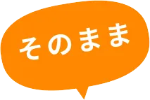 そのまま