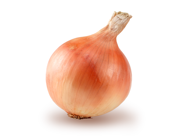 みじん切り 野菜の下ごしらえ 素材と料理の基本 とっておきレシピ キユーピー みじん切り 野菜の下ごしらえ 素材と料理の基本 とっておきレシピ キユーピー