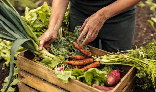 野菜の芯や皮まで有効活用のイメージ