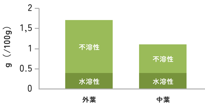 レタスの食物繊維含有量