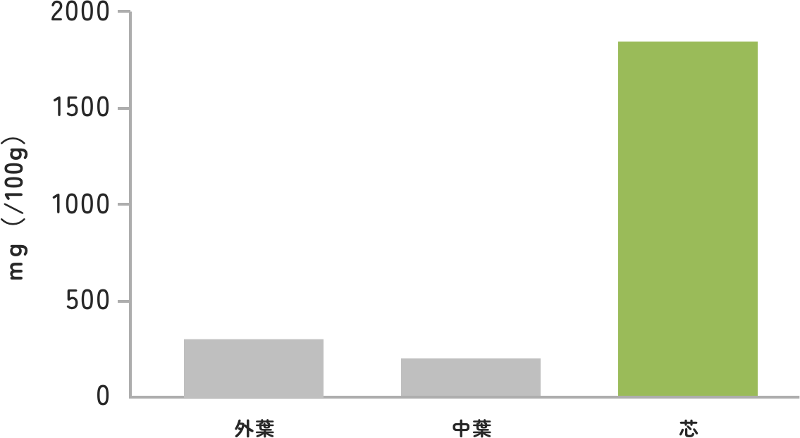 キャベツのスクロース含有量