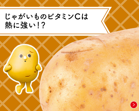 意外と知らない野菜のヒミツ ヤサイの豆知識 Vol 2 8月31日は 野菜の日 キユーピー 意外と知らない野菜のヒミツ ヤサイの豆知識 Vol 2 8月31日は 野菜の日 キユーピー