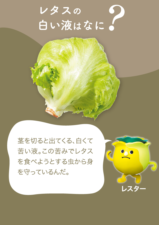 意外と知らない野菜のヒミツ ヤサイの豆知識 Vol 2 8月31日は 野菜の日 キユーピー