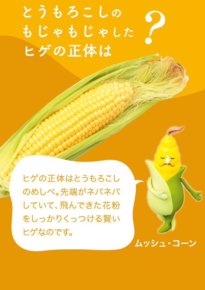 意外と知らない野菜のヒミツ ヤサイの豆知識 Vol 2 8月31日は 野菜の日 キユーピー