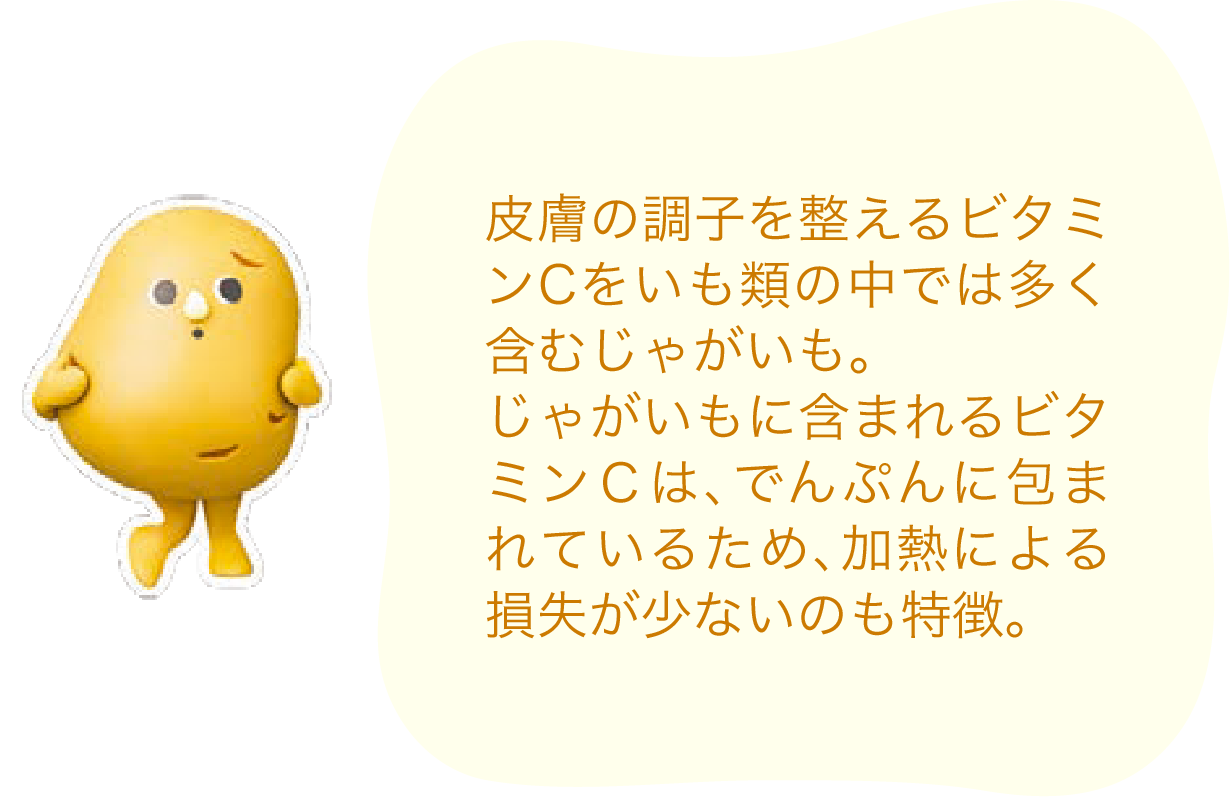 皮膚の調子を整えるビタミンCをいも類の中では多く含むじゃがいも。じゃがいもに含まれるビタミンＣは、でんぷんに包まれているため、加熱による損失が少ないのも特徴。